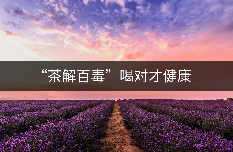 “茶解百毒”喝對(duì)才健康