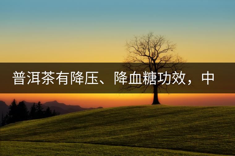 普洱茶有降壓、降血糖功效，中老年人不再懼怕糖尿病
