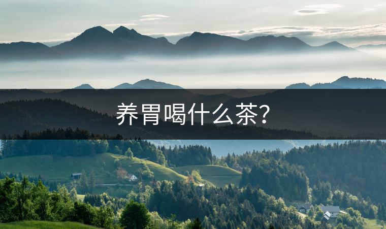 養(yǎng)胃喝什么茶？