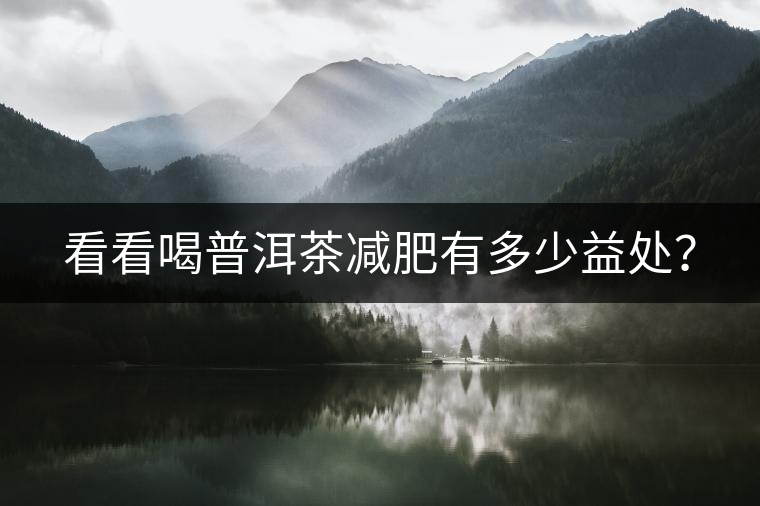 看看喝普洱茶減肥有多少益處？