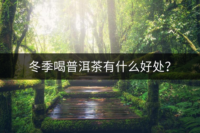 冬季喝普洱茶有什么好處？