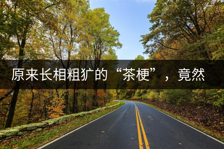 原來長(zhǎng)相粗獷的“茶?！?，竟然還有這么多的作用