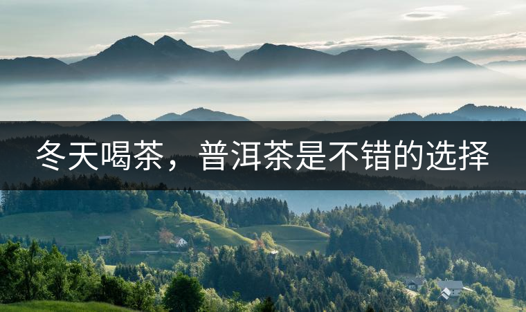 冬天喝茶，普洱茶是不錯的選擇