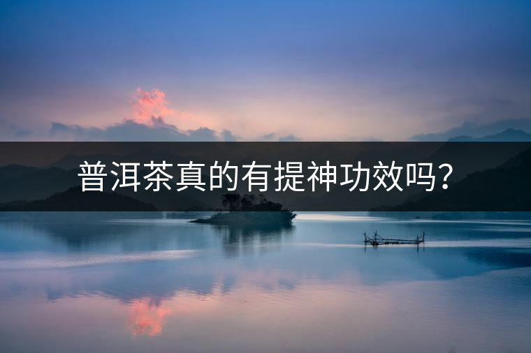 普洱茶真的有提神功效嗎？