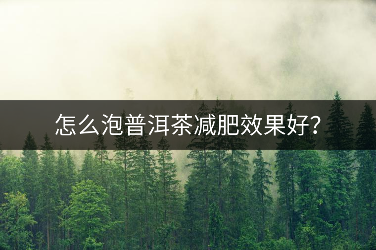 怎么泡普洱茶減肥效果好？