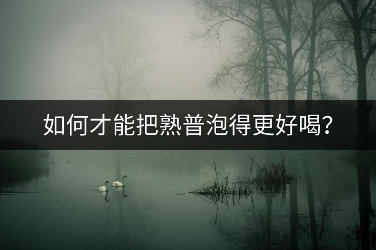 如何才能把熟普泡得更好喝？