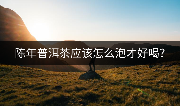 陳年普洱茶應(yīng)該怎么泡才好喝？