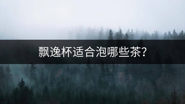 飄逸杯適合泡哪些茶？