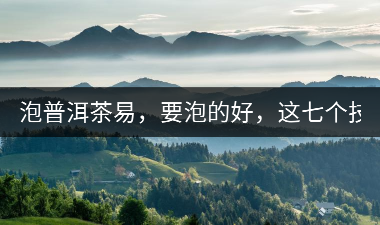 泡普洱茶易，要泡的好，這七個(gè)技巧很重要！
