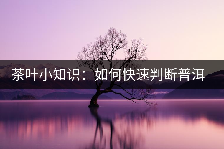 茶葉小知識(shí)：如何快速判斷普洱茶品級(jí)高低？