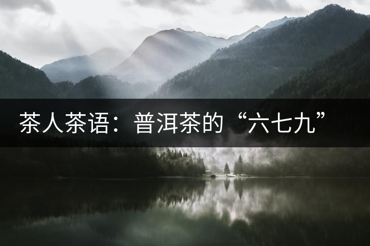 茶人茶語：普洱茶的“六七九” 你知道嗎？