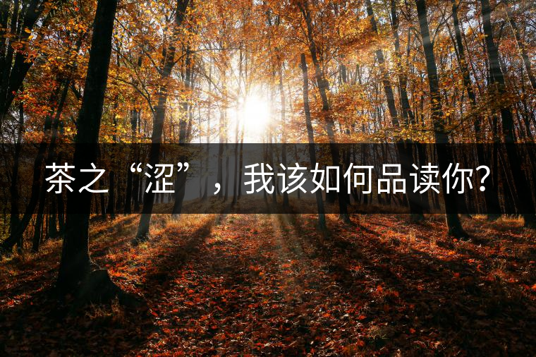 茶之“澀”，我該如何品讀你？