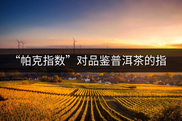 “帕克指數(shù)”對品鑒普洱茶的指導意義在哪里？「跨界有道」