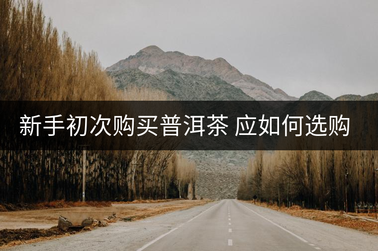 新手初次購買普洱茶 應(yīng)如何選購？