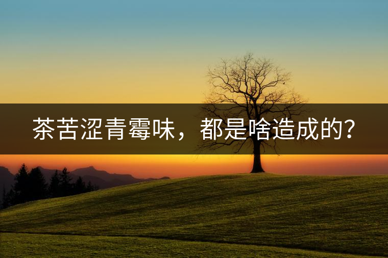 茶苦澀青霉味，都是啥造成的？