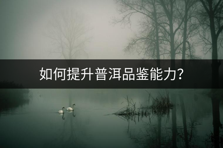 如何提升普洱品鑒能力？