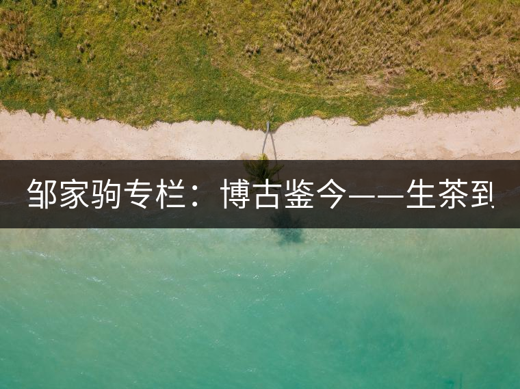 鄒家駒專欄：博古鑒今——生茶到底是不是普洱茶？