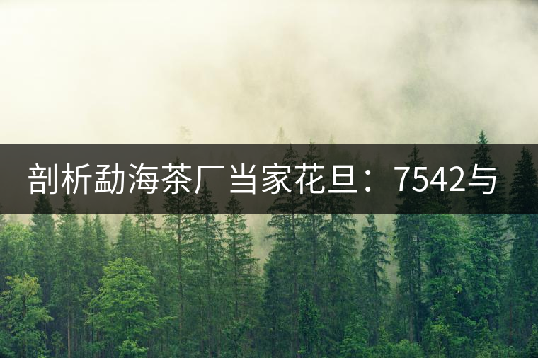 剖析勐海茶廠當家花旦：7542與7572的市場價值