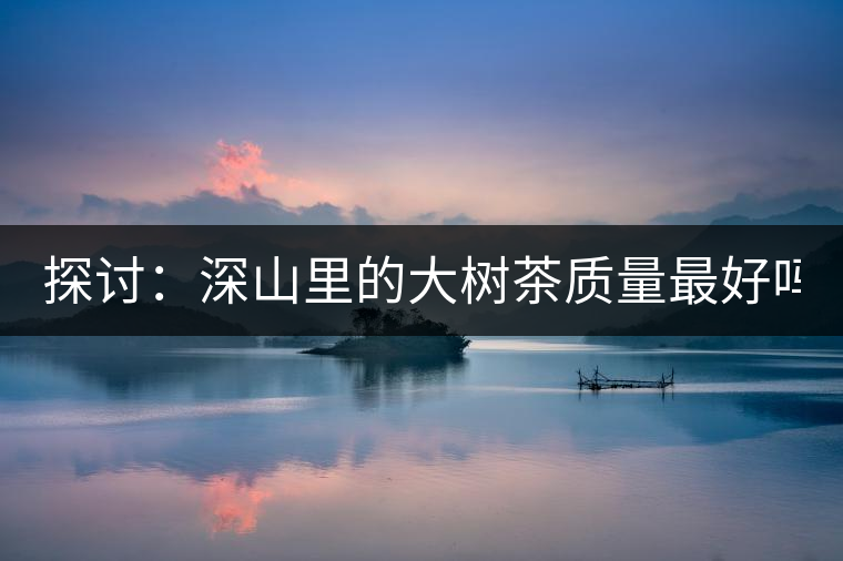 探討：深山里的大樹茶質(zhì)量最好嗎？