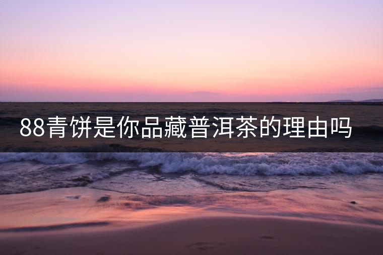 88青餅是你品藏普洱茶的理由嗎？