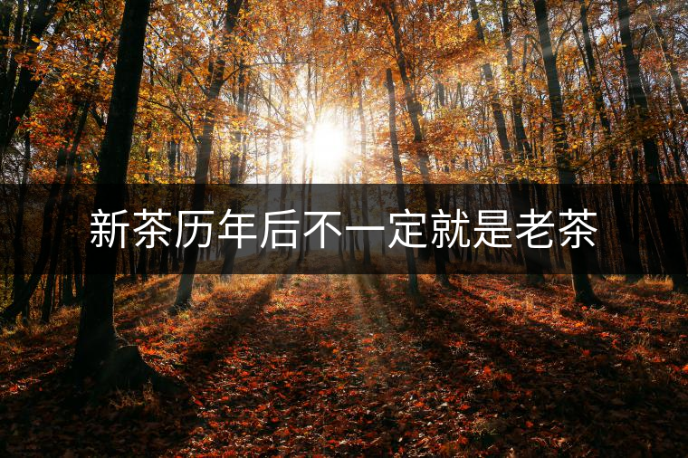 新茶歷年后不一定就是老茶