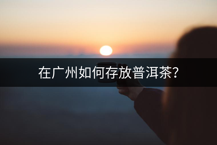 在廣州如何存放普洱茶？