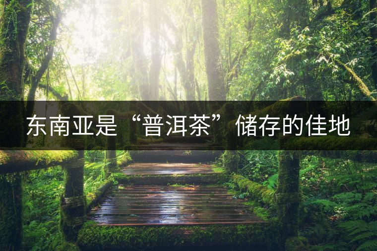 東南亞是“普洱茶”儲(chǔ)存的佳地 東南亞是“普洱茶”儲(chǔ)存的佳地