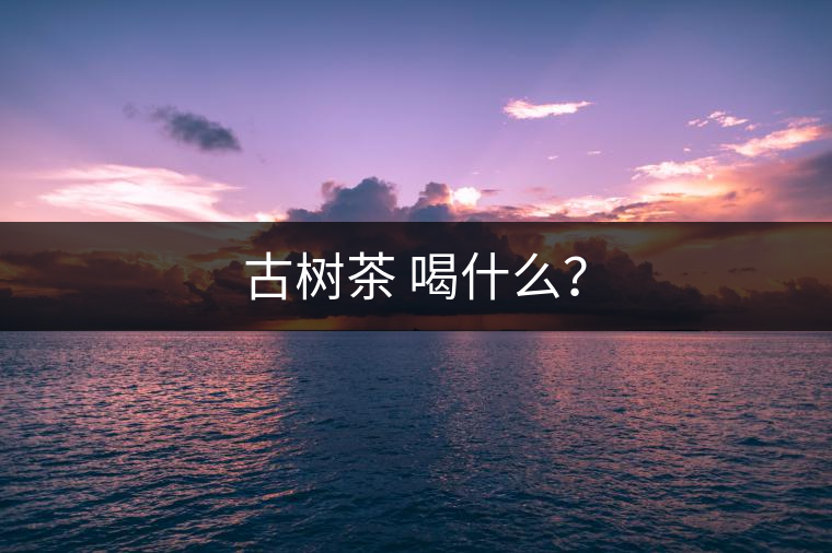 古樹茶 喝什么？