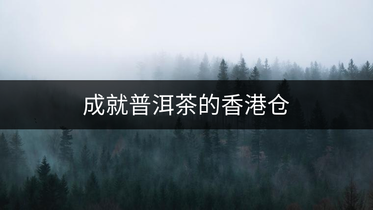 成就普洱茶的香港倉