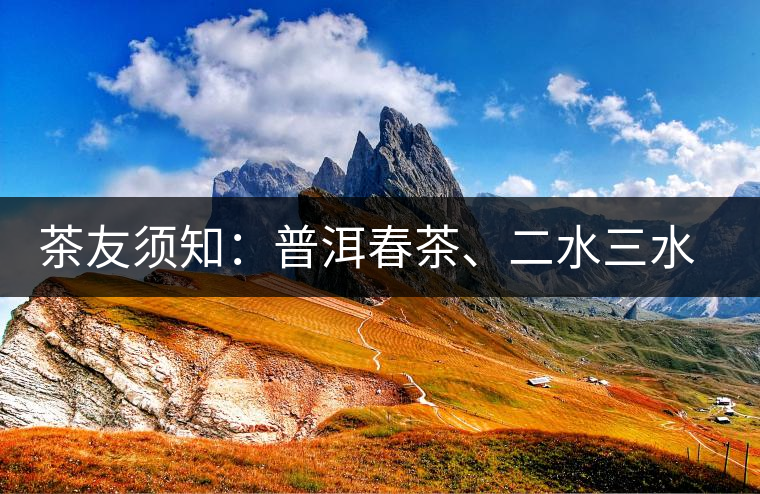 茶友須知：普洱春茶、二水三水茶和谷花茶