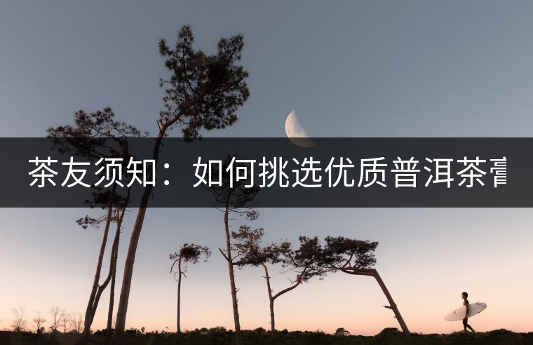 茶友須知：如何挑選優(yōu)質(zhì)普洱茶膏？