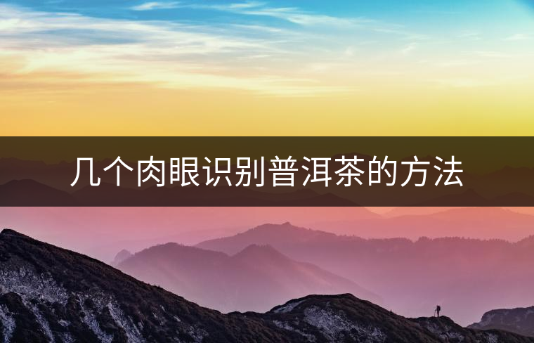 幾個(gè)肉眼識別普洱茶的方法