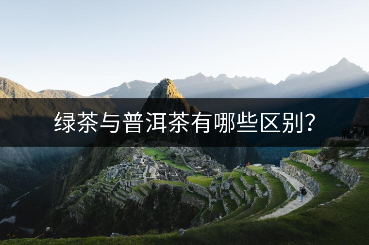 綠茶與普洱茶有哪些區(qū)別？