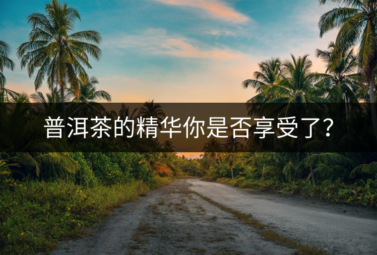 普洱茶的精華你是否享受了？