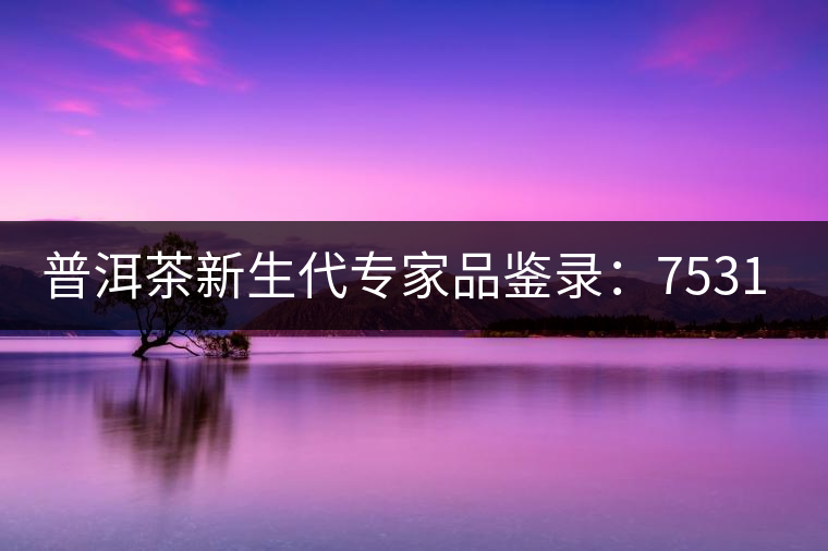 普洱茶新生代專(zhuān)家品鑒錄：7531青餅