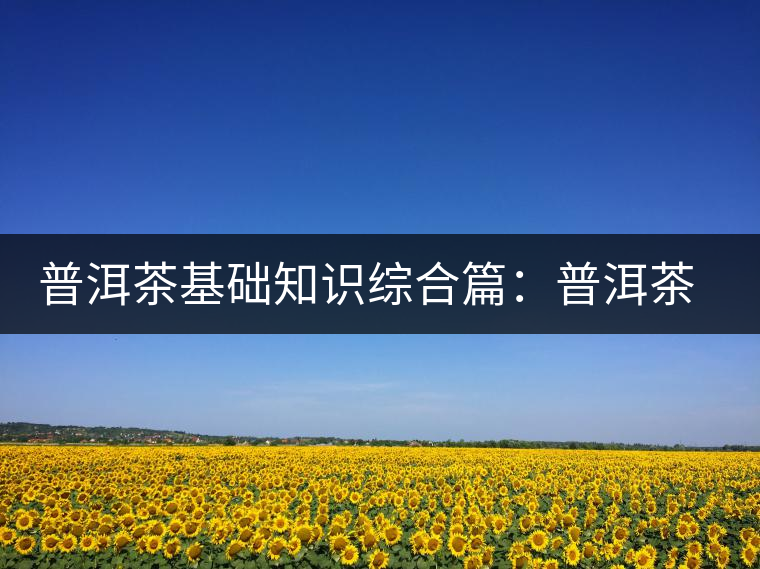 普洱茶基礎(chǔ)知識綜合篇:普洱茶與健康 普洱茶基礎(chǔ)知識綜合篇:普洱茶與健康