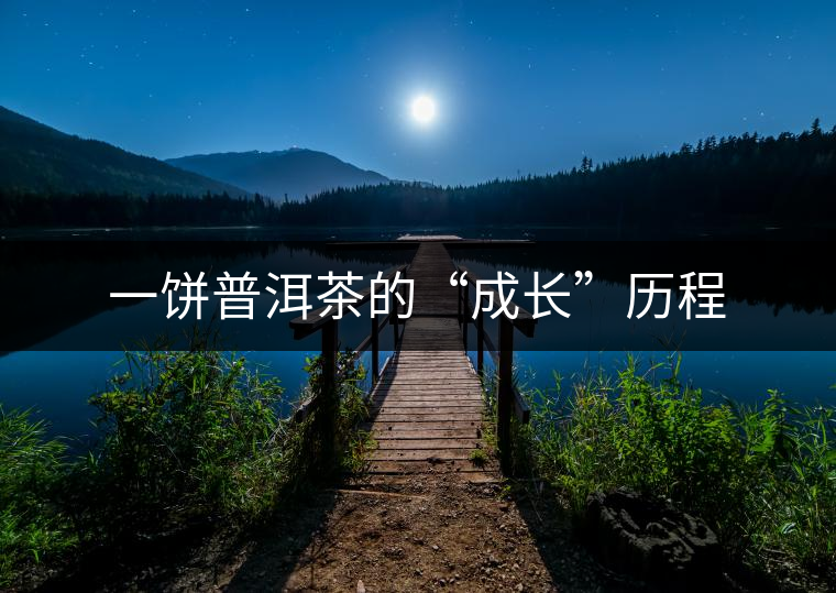 一餅普洱茶的“成長”歷程 一餅普洱茶的“成長”歷程