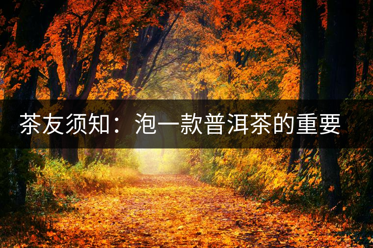 茶友須知:泡一款普洱茶的重要因素 茶友須知:泡一款普洱茶的重要因素