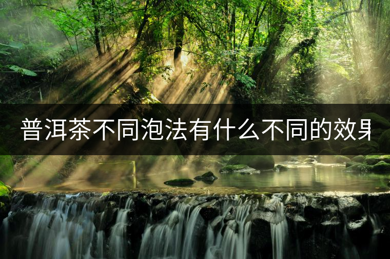 普洱茶不同泡法有什么不同的效果？