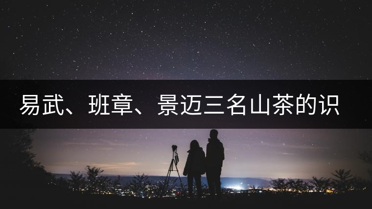 易武、班章、景邁三名山茶的識(shí)別