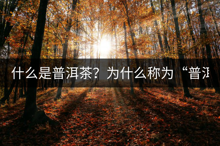 什么是普洱茶？為什么稱(chēng)為“普洱”？