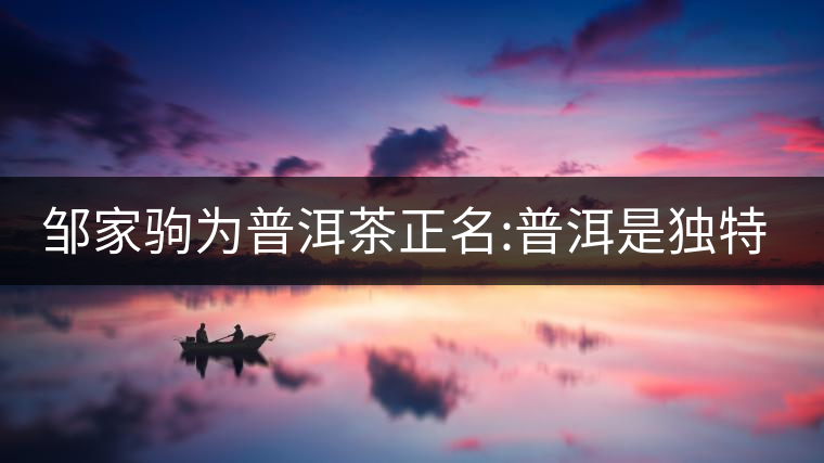 鄒家駒為普洱茶正名:普洱是獨特茶類