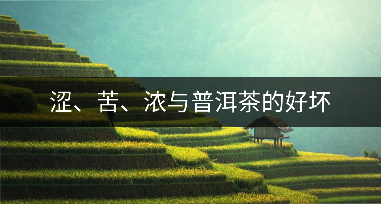 澀、苦、濃與普洱茶的好壞