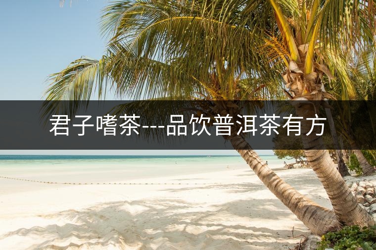 君子嗜茶---品飲普洱茶有方