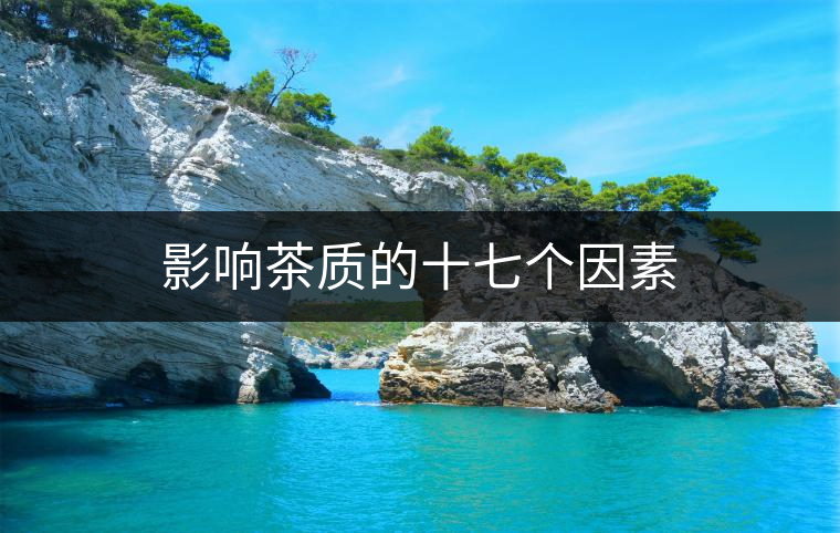 影響茶質(zhì)的十七個因素