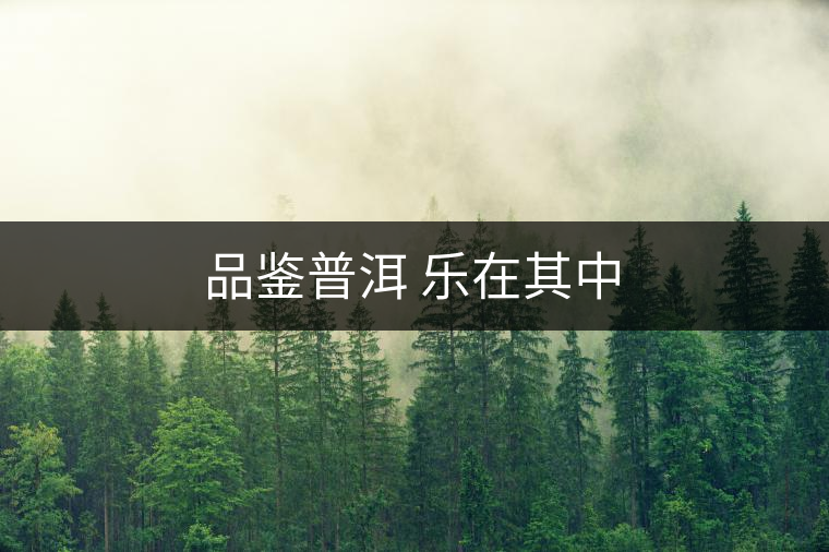 品鑒普洱 樂在其中