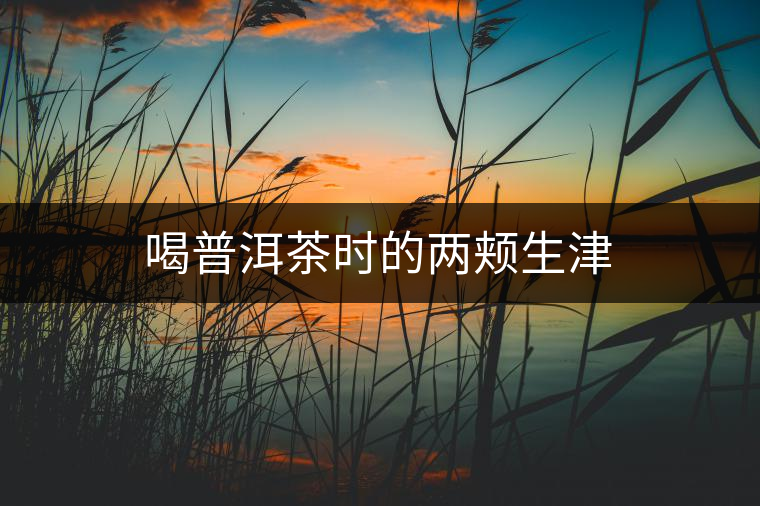 喝普洱茶時的兩頰生津