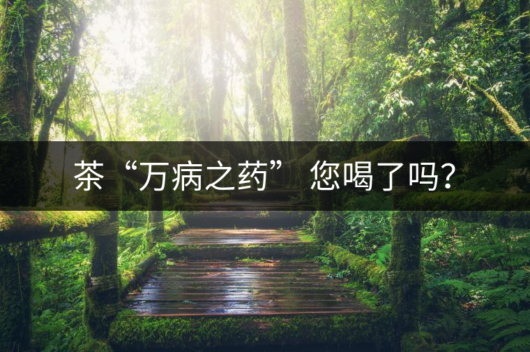 茶“萬(wàn)病之藥” 您喝了嗎？