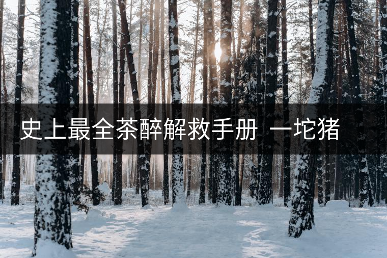 史上最全茶醉解救手冊 一坨豬油解茶醉 史上最全茶醉解救手冊 一坨豬油解茶醉