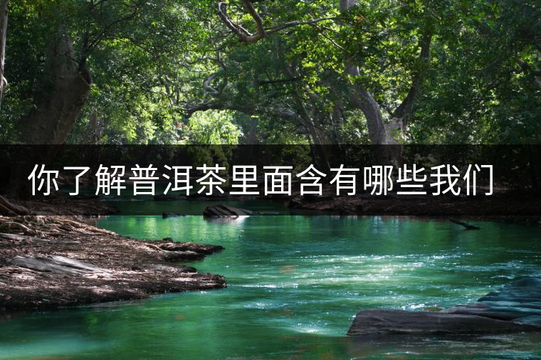 你了解普洱茶里面含有哪些我們?nèi)梭w必備的元素嗎？